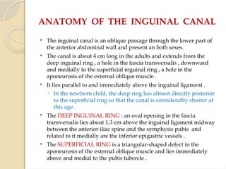 ANATOMY OF THE INGUINAL CANAL
 The inguinal canal is an oblique passage through the lower part of
the anterior abdominal wall and present an both sexes.
 The canal is about 4 cm long in the adults and extends from the
deep inguinal ring , a hole in the fascia transversalis , downward
and medially to the superficial inguinal ring , a hole in the
aponeurosis of the external oblique muscle .
 It lies parallel to and immediately above the inguinal ligament .
◦ In the newborn child, the deep ring lies almost directly posterior
to the superficial ring so that the canal is considerably shorter at
this age .
 The DEEP INGUINAL RING : an oval opening in the fascia
transversalis lies about 1.3 cm above the inguinal ligament midway
between the anterior iliac spine and the symphysis pubis and
related to it medially are the inferior epigastric vessels .
 The SUPERFICIAL RING is a triangular-shaped defect in the
aponeurosis of the external oblique muscle and lies immediately
above and medial to the pubis tubercle .
 