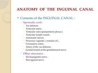 ANATOMY OF THE INGUINAL CANAL
 Contents of the INGUINAL CANAL :
◦ Spermatic cord :
 Vas deferens .
 Testicular artery .
 Testicular veins (pampinform plexus ).
 Testicular lymph vessels .
 Autonomic nerves .
 Processus vaginalis ( remains of ) .
 Cremasteric artery .
 Artery of the vas deferens .
 Genital branch of the genitofemoral nerve .
◦ Other structures :
 Ilio-hypogastric nerve .
 Ilioi-nguinal nerve .
 