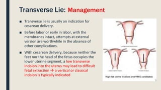 Classical Incision Labour Obstetrics Reference Lec abnormal-labor.pptx