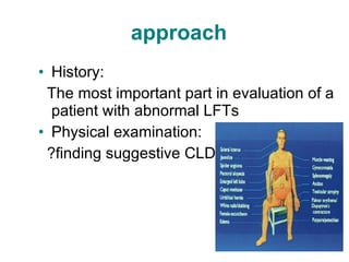 approach History: The most important part in evaluation of a patient with abnormal LFTs Physical examination: ?finding suggestive CLD 