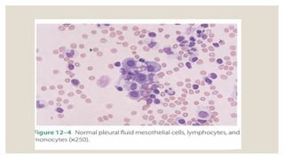 Abnormal body fluids presentation 2.pptx