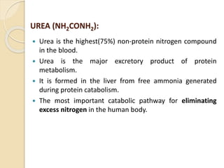  Urea is the highest(75%) non-protein nitrogen compound
in the blood.
 Urea is the major excretory product of protein
metabolism.
 It is formed in the liver from free ammonia generated
during protein catabolism.
 The most important catabolic pathway for eliminating
excess nitrogen in the human body.
UREA (NH2CONH2):
 