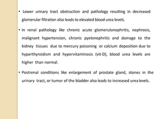 • Lower urinary tract obstruction and pathology resulting in decreased
glomerular filtration also leads to elevated blood urea levels.
• In renal pathology like chronic acute glomerulonephritis, nephrosis,
malignant hypertension, chronic pyelonephritis and damage to the
kidney tissues due to mercury poisoning or calcium deposition due to
hyperthyroidism and hypervitaminosis (vit-D), blood urea levels are
higher than normal.
• Postrenal conditions like enlargement of prostate gland, stones in the
urinary tract, or tumor of the bladder also leads to increased urealevels.
 