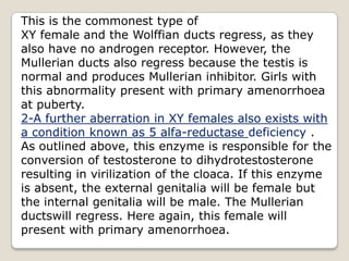 This is the commonest type ofXY female and the Wolffian ducts regress, as theyalso have no androgen receptor. However, theMullerian ducts also regress because the testis is normal and produces Mullerian inhibitor. Girls with this abnormality present with primary amenorrhoeaat puberty.2-A further aberration in XY females also exists witha condition known as 5 alfa-reductasedeficiency .As outlined above, this enzyme is responsible for theconversion of testosterone to dihydrotestosteroneresulting in virilization of the cloaca. If this enzyme is absent, the external genitalia will be female but the internal genitalia will be male. The Mullerianductswill regress. Here again, this female will present with primary amenorrhoea.