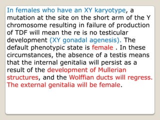 In females who have an XY karyotype, a mutation at the site on the short arm of the Y chromosome resulting in failure of production of TDF will mean the re is no testicular development (XY gonadal agenesis). Thedefault phenotypic state is female . In thesecircumstances, the absence of a testis means that the internal genitalia will persist as a result of the development of Mullerian structures, and the Wolffian ducts will regress. The external genitalia will be female.