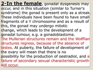 2-In the female, gonadaldysgenesis may occur, and in this situation (similar to Turner's syndrome) the gonad is present only as a streak. These individuals have been found to have small fragments of a Y chromosome and as a result of this, the gonad may undergo mitoticchange, which leads to the developnent of a gonadaltumour, e.g. a gonadoblastoma. The Mullerian structures remain and the Wolffian structures regress, because of the absence of testes. At puberty, the failure of development of the ovary will mean that there is nopossibility for the production of oestradiol, and a failure of secondary sexual characteristic growth will occur.