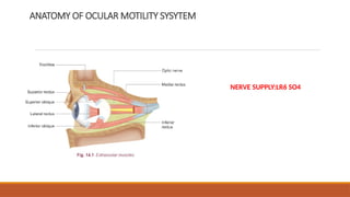 ABNORMAL EYE MOVEMENTS-SEEN IN OP PATIENTS.pptx
