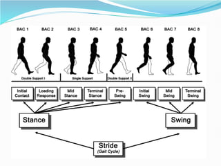 Abnormal gait by SURYA LIKHITA-VAPMS COLLEGE OF PHYSIOTHERAPY | PDF