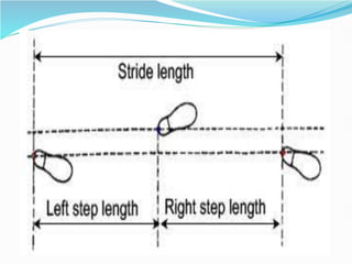 Abnormal gait by SURYA LIKHITA-VAPMS COLLEGE OF PHYSIOTHERAPY | PDF