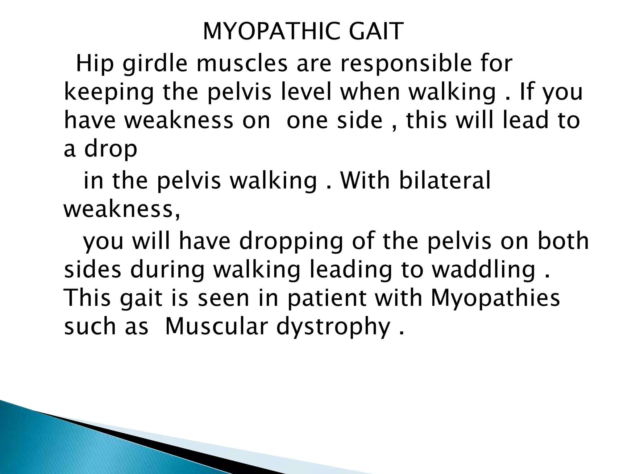 MYOPATHIC GAIT
Hip girdle muscles are responsible for
keeping the pelvis level when walking . If you
have weakness on one side , this will lead to
a drop
in the pelvis walking . With bilateral
weakness,
you will have dropping of the pelvis on both
sides during walking leading to waddling .
This gait is seen in patient with Myopathies
such as Muscular dystrophy .
 