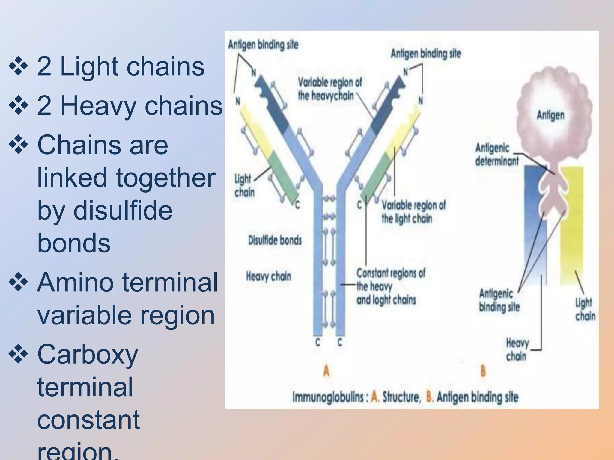 Abnormal immunoglobulins and immunoglobulin specificities (1) | PPTX