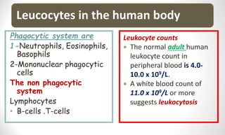 Leucocytes in the human body
Phagocytic system are
1-Neutrophils, Eosinophils,
Basophils
2-Mononuclear phagocytic
cells
The non phagocytic
system
Lymphocytes
• B-cells .T-cells
Leukocyte counts
 The normal adult human
leukocyte count in
peripheral blood is 4.0-
10.0 x 109/L.
 A white blood count of
11.0 x 109/L or more
suggests leukocytosis
 