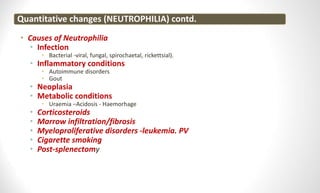 Quantitative changes (NEUTROPHILIA) contd.
• Causes of Neutrophilia
• Infection
• Bacterial -viral, fungal, spirochaetal, rickettsial).
• Inflammatory conditions
• Autoimmune disorders
• Gout
• Neoplasia
• Metabolic conditions
• Uraemia –Acidosis - Haemorhage
• Corticosteroids
• Marrow infiltration/fibrosis
• Myeloproliferative disorders -leukemia. PV
• Cigarette smoking
• Post-splenectomy
 