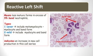Reactive Left Shift
Means less mature forms in excess of
5% band neutrophils,
Types
1-sever  include metamyelocyte –
myelocyte and band form
2-mild  include myelocyte and band
form
indicates an increase in new cell
production in this cell series
 