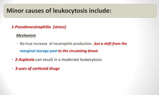 Minor causes of leukocytosis include:
1-Pseudoneutrophilia (stress)
Mechanism
• No true increase of neutrophils production , but a shift from the
marginal storage pool to the circulating blood.
• 2-Asplenia can result in a moderate leukocytosis
• 3-uses of corticoid drugs
 