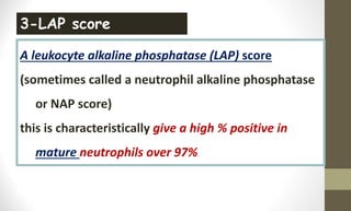 A leukocyte alkaline phosphatase (LAP) score
(sometimes called a neutrophil alkaline phosphatase
or NAP score)
this is characteristically give a high % positive in
mature neutrophils over 97%
3-LAP score
 