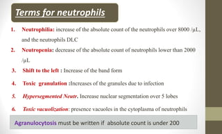 Terms for neutrophils
1. Neutrophilia: increase of the absolute count of the neutrophils over 8000 /µL,
and the neutrophils DLC
2. Neutropenia: decrease of the absolute count of neutrophils lower than 2000
/µL
3. Shift to the left : Increase of the band form
4. Toxic granulation :Increases of the granules due to infection
5. Hypersegmented Neutr. Increase nuclear segmentation over 5 lobes
6. Toxic vacuolization: presence vacuoles in the cytoplasma of neutrophils
Agranulocytosis must be written if absolute count is under 200
 