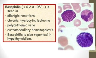Basophilia ( > 0.2 X 109/L ) is
seen in
• allerigic reactions
• chronic myelocytic leukemia
• polycythemia vera
• extramedullary hematopoiesis.
• Basophilia is also reported in
hypothyroidism.
10/12/2010
Benigen
WBC
disorders
43
 