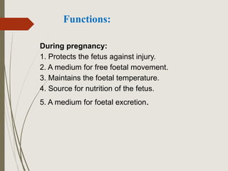 Functions:
During pregnancy:
1. Protects the fetus against injury.
2. A medium for free foetal movement.
3. Maintains the foetal temperature.
4. Source for nutrition of the fetus.
5. A medium for foetal excretion.
 