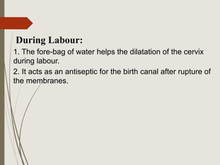 During Labour:
1. The fore-bag of water helps the dilatation of the cervix
during labour.
2. It acts as an antiseptic for the birth canal after rupture of
the membranes.
 