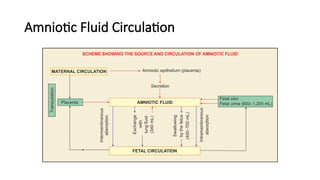 abnormalities of amniotic fluid by Vicenty.pptx