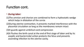 abnormalities of amniotic fluid by Vicenty.pptx