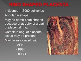 Incidence 1:6000 deliveries
Annular in shape
May be horse-shoe shaped
because of atrophy of a part
of placental ring.
Complete ring of placental
tissue may be present .
May be associated with
- APH
- PPH
- IUGR
 