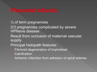 ¼ of term pregnancies
2/3 pregnancies complicated by severe
HPNsive disease
Result from occlusion of maternal vascular
supply
Principal histopath features:
› Fibrinoid degeneration of trophoblast
› Calcification
› Ischemic infarction from adhesion of spiral arteries
 