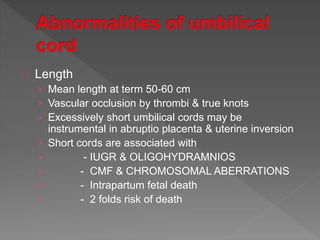 Length
› Mean length at term 50-60 cm
› Vascular occlusion by thrombi & true knots
› Excessively short umbilical cords may be
instrumental in abruptio placenta & uterine inversion
› Short cords are associated with
› - IUGR & OLIGOHYDRAMNIOS
› - CMF & CHROMOSOMAL ABERRATIONS
› - Intrapartum fetal death
› - 2 folds risk of death
 