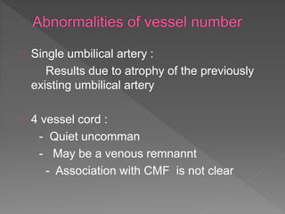 Single umbilical artery :
Results due to atrophy of the previously
existing umbilical artery
4 vessel cord :
- Quiet uncomman
- May be a venous remnannt
- Association with CMF is not clear
 