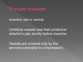 Insertion site is normal
Umbilical vessels lose their protective
wharton’s jelly shortly before insertion.
Vessels are covered only by the
amnion(vulnerable to compression)
 