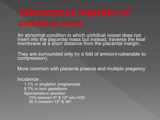 An abnormal condition in which umbilical vessel does not
insert into the placental mass but instead, traverse the fetal
membrane at a short distance from the placental margin.
They are surrounded only by a fold of amnion(vulnerable to
compression).
More common with placenta praevia and multiple pregency
Incidence :
› 1.1% in singleton pregnancies
› 8.7% in twin gestations
› Spontaneous abortion
33% between 9th & 12th wks AOG
26 % between 13th & 16th
 