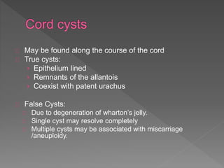 May be found along the course of the cord
True cysts:
› Epithelium lined
› Remnants of the allantois
› Coexist with patent urachus
False Cysts:
Due to degeneration of wharton’s jelly.
Single cyst may resolve completely
Multiple cysts may be associated with miscarriage
/aneuploidy.
 