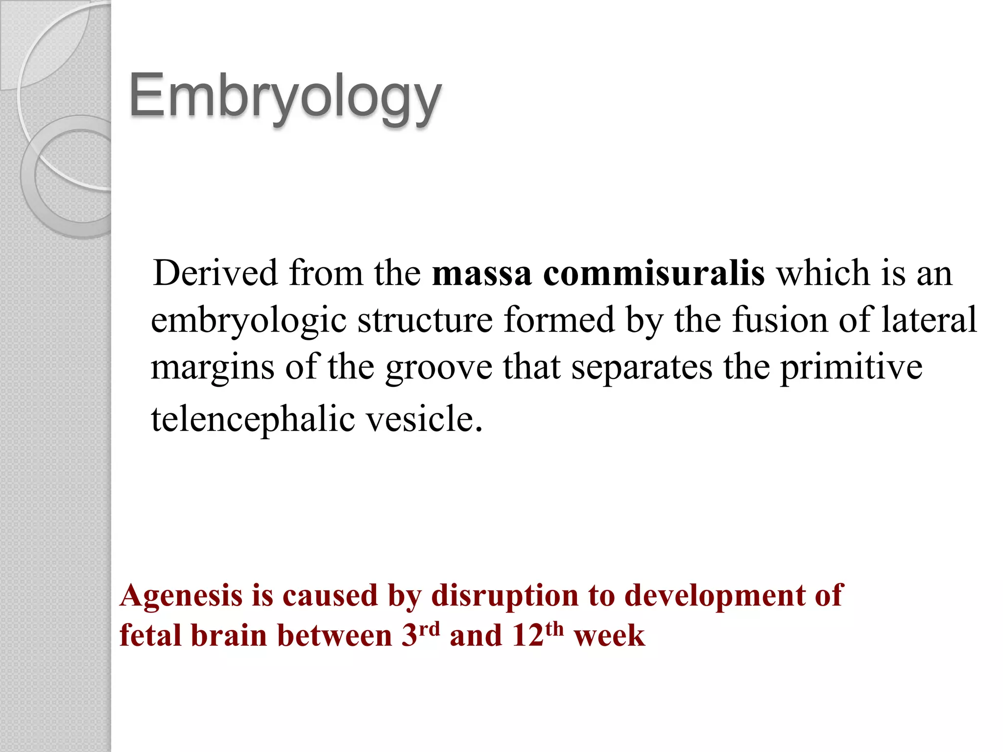 Embryology
Derived from the massa commisuralis which is an
embryologic structure formed by the fusion of lateral
margins of the groove that separates the primitive
telencephalic vesicle.
Agenesis is caused by disruption to development of
fetal brain between 3rd and 12th week
 
