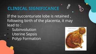 Subinvolution Def The Abnormalities of placenta and cord.pptx
