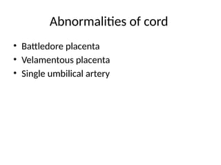 Comprehensive Overview of Placental and Umbilical Cord Abnormalities in ...