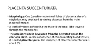 spuria placenta