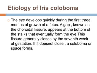 Etiology of Iris coloboma
 The eye develops quickly during the first three
months of growth of a fetus. A gap , known as
the choroidal fissure, appears at the bottom of
the stalks that eventually form the eye.This
fissure generally closes by the seventh week
of gestation. If it doesnot close , a coloboma or
space forms.
 
