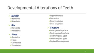Developmental Alterations of Teeth
 Number
Hypodontia
Hyperdontia
 Size
Microdontia
Macrodontia
 Shape
Gemination
Fusion
Concresence
Taurodontism
Hypercementosis
Dilaceration
Dens invaginatus
Dens Evaginatus
 Structure
Amelogenisis Imperfecta
Dentinogenisis Imperfecta
Dentin Dysplasia type I
Dentin Dysplasia type II
Regional Odontodysplasia
27
 