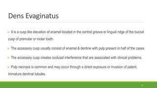 Dens Evaginatus
 It is a cusp like elevation of enamel located in the central groove or lingual ridge of the buccal
cusp of premolar or molar tooth.
 The accessory cusp usually consist of enamel & dentine with pulp present in half of the cases
 The accessory cusp creates occlusal interference that are associated with clinical problems.
 Pulp necrosis is common and may occur through a direct exposure or invasion of patent,
immature dentinal tubules.
37
 