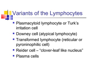 Variants of the Lymphocytes
   Plasmacytoid lymphocyte or Turk’s
    irritation cell
   Downey cell (atypical lymphocyte)
   Transformed lymphocyte (reticular or
    pyroninophilic cell)
   Reider cell – “clover-leaf like nucleus”
   Plasma cells
 