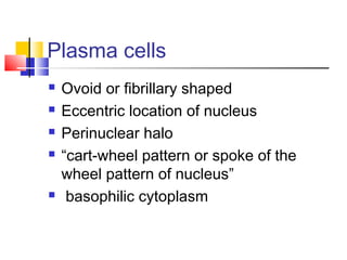 Plasma cells
   Ovoid or fibrillary shaped
   Eccentric location of nucleus
   Perinuclear halo
   “cart-wheel pattern or spoke of the
    wheel pattern of nucleus”
    basophilic cytoplasm
 