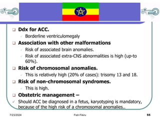 Fikiru Robe Abnormalities of the Fetal Central Nervous System Prenatal US Diagnosis ...