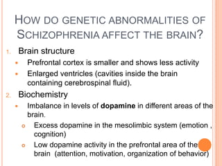 HOW DO GENETIC ABNORMALITIES OF
     SCHIZOPHRENIA AFFECT THE BRAIN?
1.       Brain structure
          Prefrontal cortex is smaller and shows less activity
          Enlarged ventricles (cavities inside the brain
           containing cerebrospinal fluid).
2.       Biochemistry
          Imbalance in levels of dopamine in different areas of the
           brain.
            Excess dopamine in the mesolimbic system (emotion ,
             cognition)
            Low dopamine activity in the prefrontal area of the
             brain (attention, motivation, organization of behavior)
 