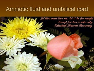 Amniotic fluid and umbilical cord
 