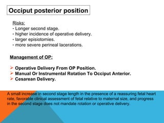 Risks:
- Longer second stage.
- higher incidence of operative delivery.
- larger episiotomies.
- more severe perineal lacerations.
Occiput posterior position
A small increase in second stage length in the presence of a reassuring fetal heart
rate, favorable clinical assessment of fetal relative to maternal size, and progress
in the second stage does not mandate rotation or operative delivery.
Management of OP:
 Operative Delivery From OP Position.
 Manual Or Instrumental Rotation To Occiput Anterior.
 Cesarean Delivery.
 
