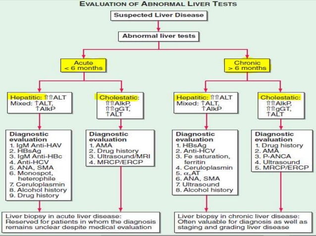 Lft Test Types APPROACH TO ABNORMAL LFT | PPTX | Blood Disorders | Diseases and Conditions