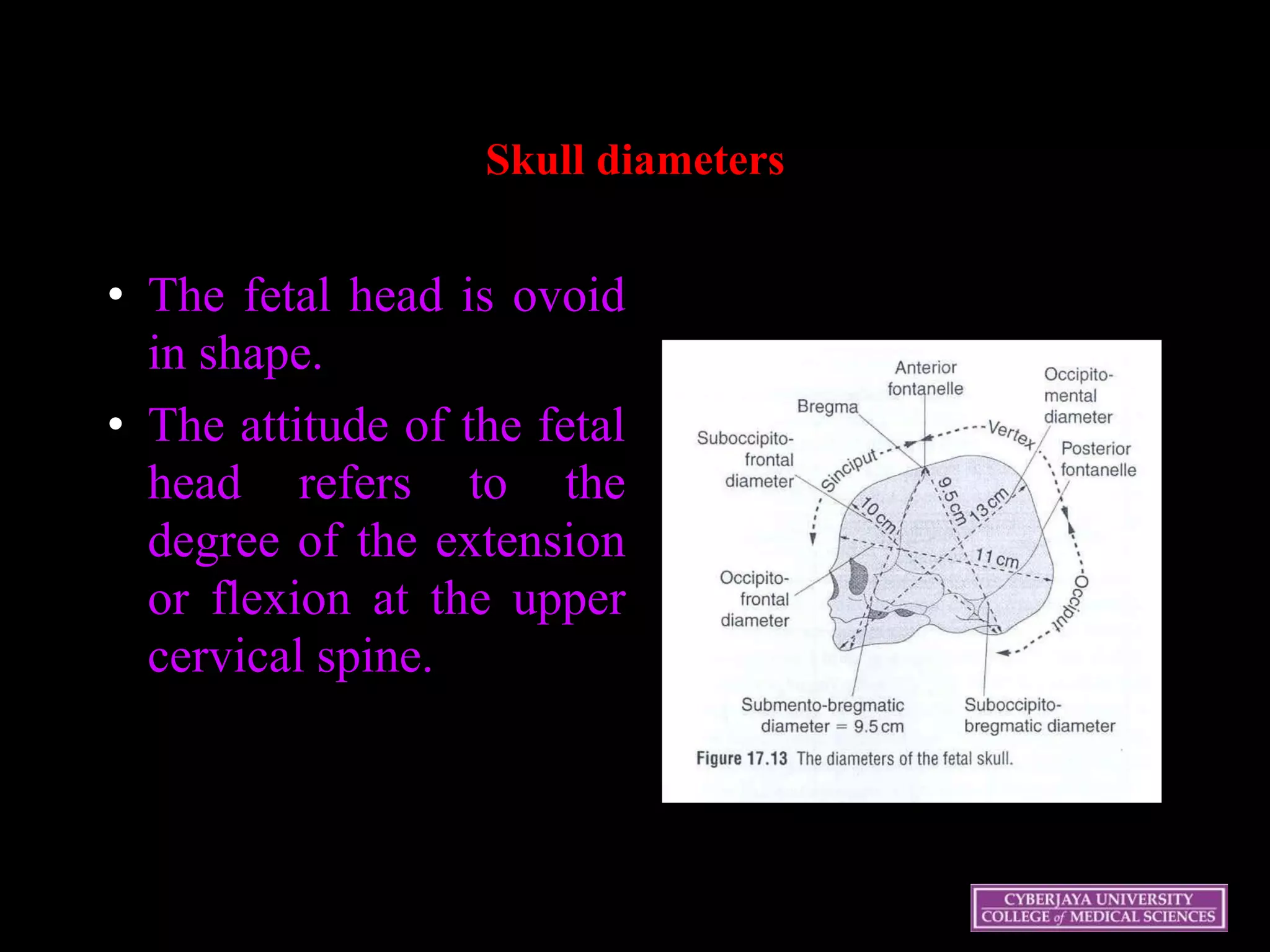 Skull diameters
• The fetal head is ovoid
in shape.
• The attitude of the fetal
head refers to the
degree of the extension
or flexion at the upper
cervical spine.
 