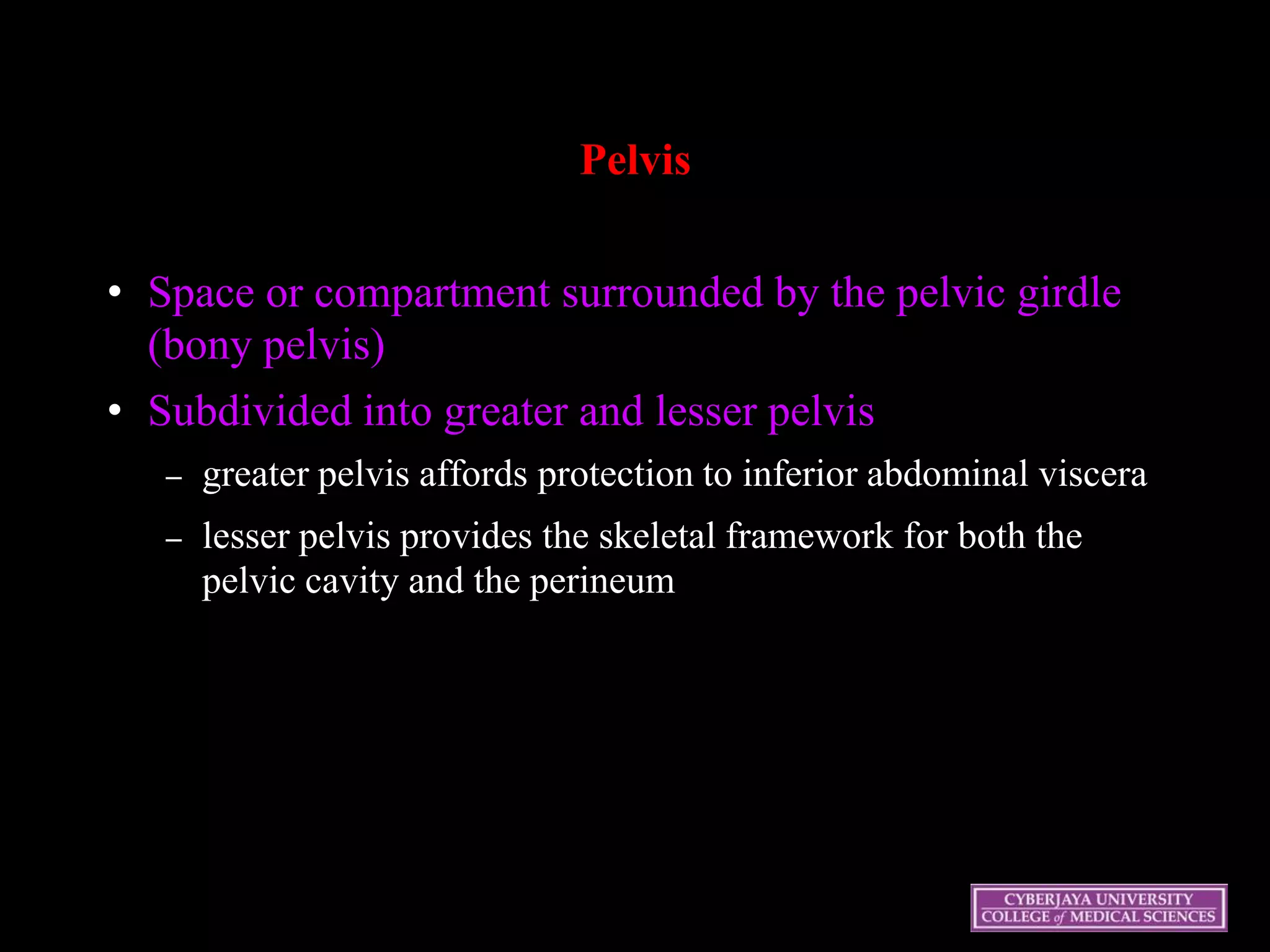 Pelvis
• Space or compartment surrounded by the pelvic girdle
(bony pelvis)
• Subdivided into greater and lesser pelvis
– greater pelvis affords protection to inferior abdominal viscera
– lesser pelvis provides the skeletal framework for both the
pelvic cavity and the perineum
 