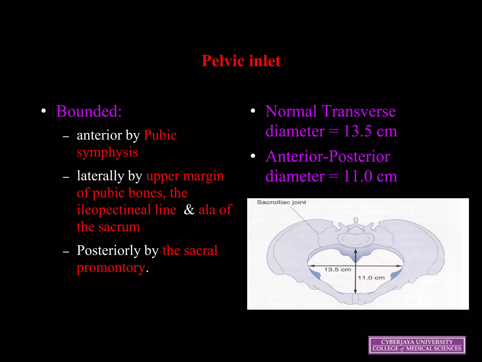 Pelvic inlet
• Bounded:
– anterior by Pubic
symphysis
– laterally by upper margin
of pubic bones, the
ileopectineal line & ala of
the sacrum
– Posteriorly by the sacral
promontory.
• Normal Transverse
diameter = 13.5 cm
• Anterior-Posterior
diameter = 11.0 cm
 